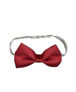 Παιδικό Παπιγιόν Μονόχρωμο Μπορντό (46427)